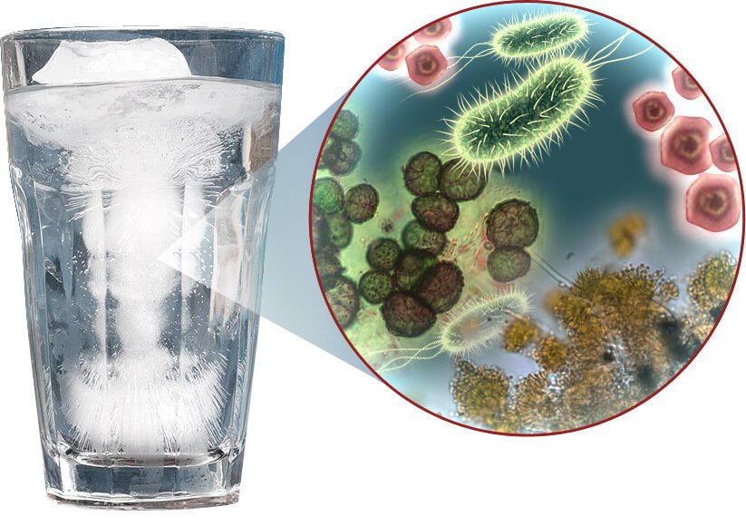 Figure 10 Contaminants found in seawater.