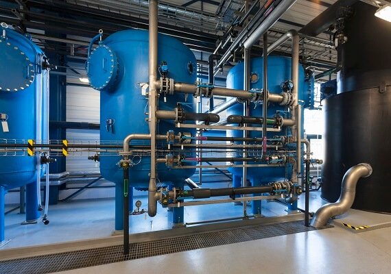 dm plant