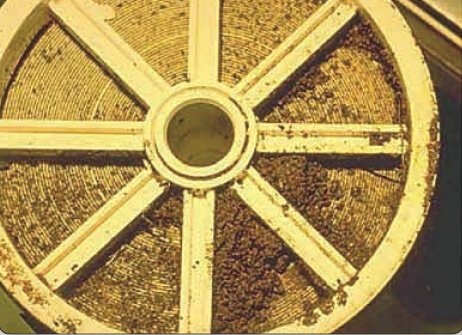 Figure 6 Fouled membrane.