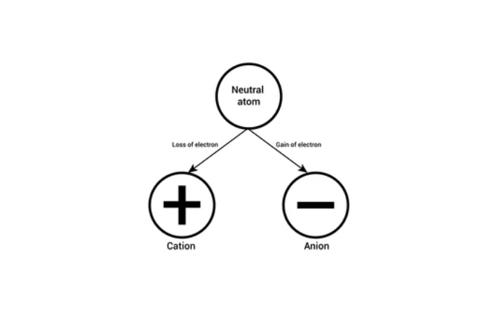 Anion vs Cation Ion Exchange Resins