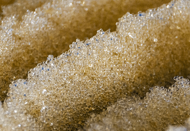 ion exchange resin2