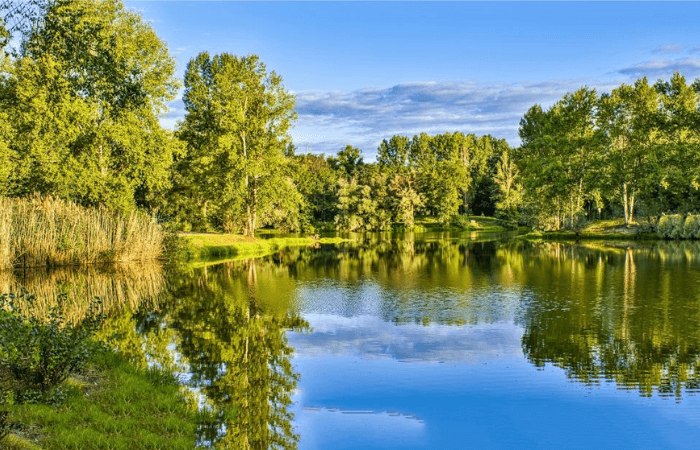 lake water featured picture