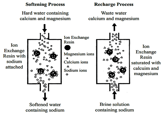 ion exchange diagram